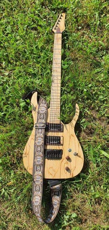Palemoon 6